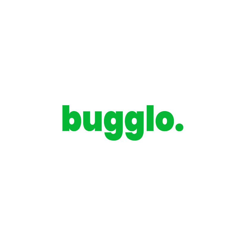 How Holy City Hosting & Design Powers Bugglo.com with High-Speed Hosting